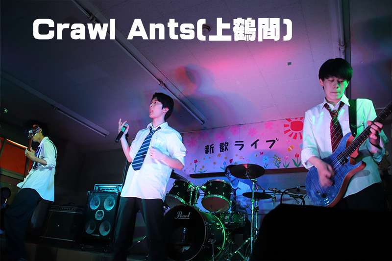 Craw Ants(上鶴間)